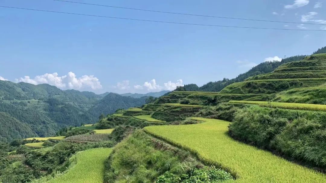 中共中央国务院：十四五期间全面支持“田园+康养+旅游”模式发展