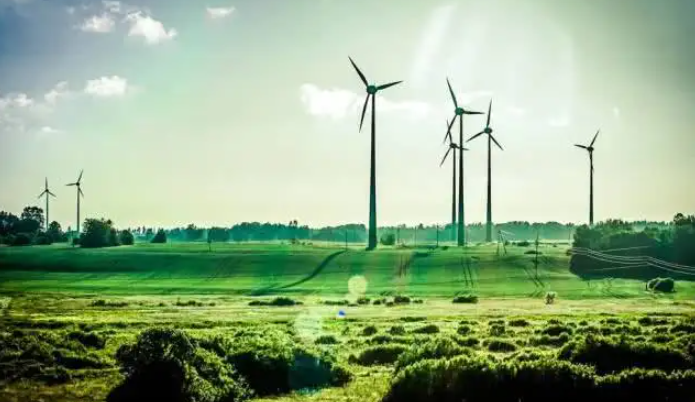 浙江立法推动能源电力绿色低碳转型发展